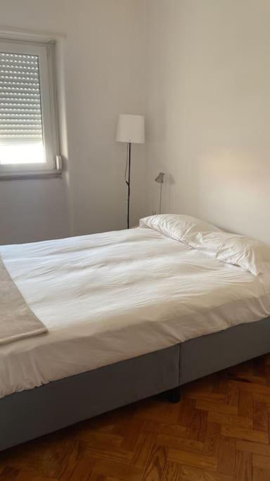 Apartment A Lovely Flat In Heart Of Campo De Ourique *